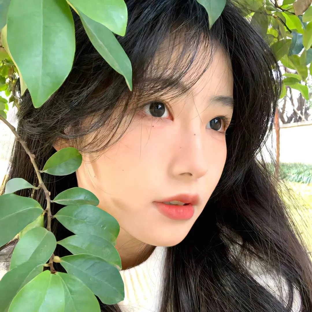 视线中的光